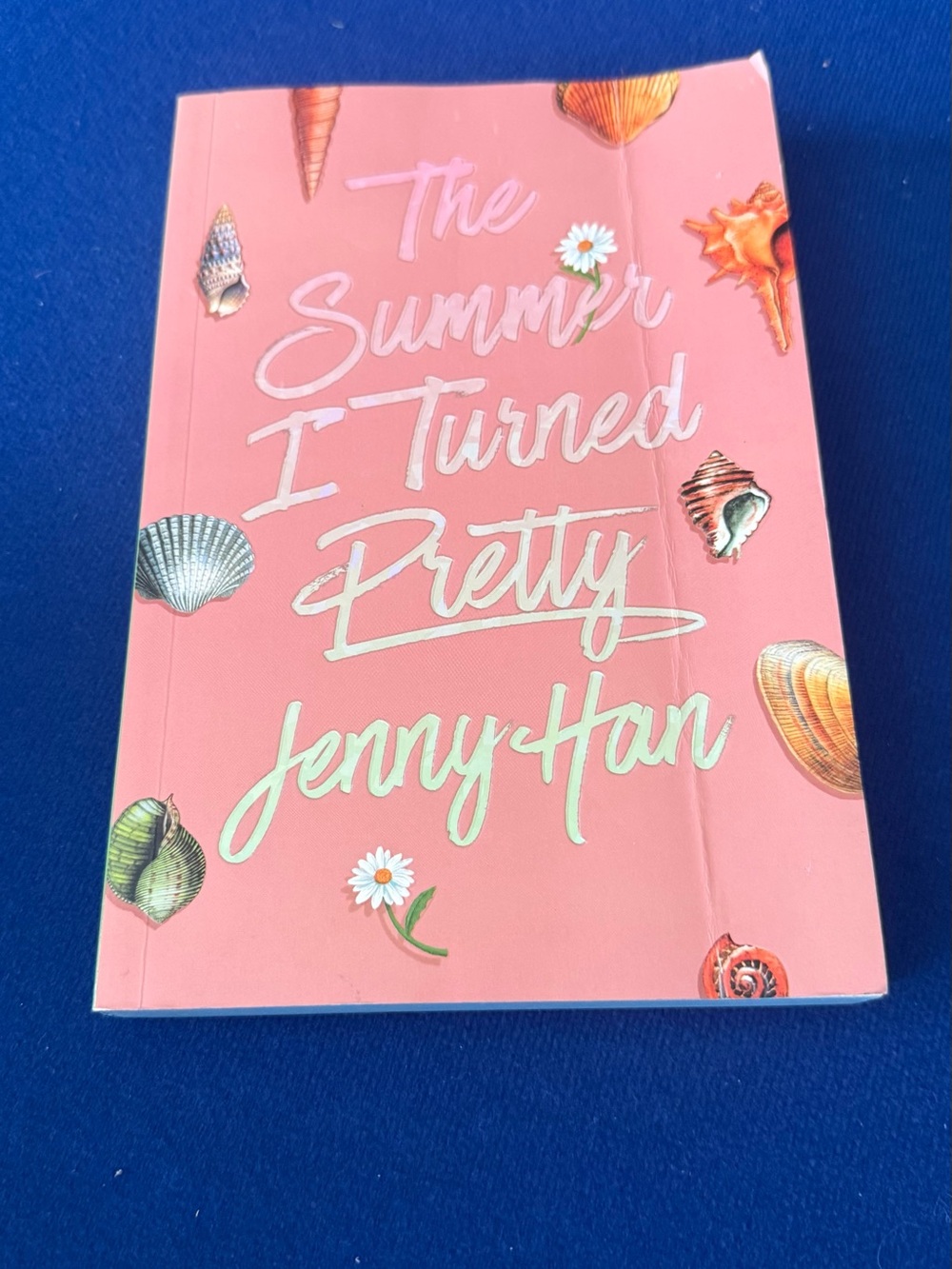 The summer I turned pretty book